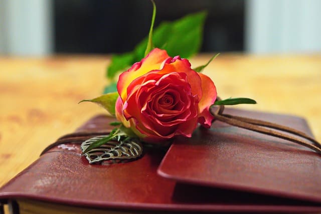 женственный бухгалтер