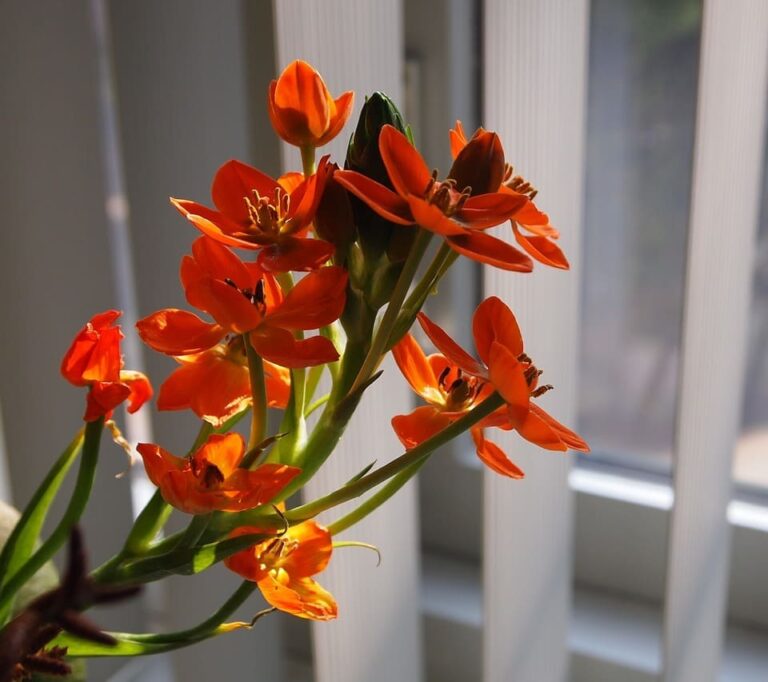 поздравление сотрудников